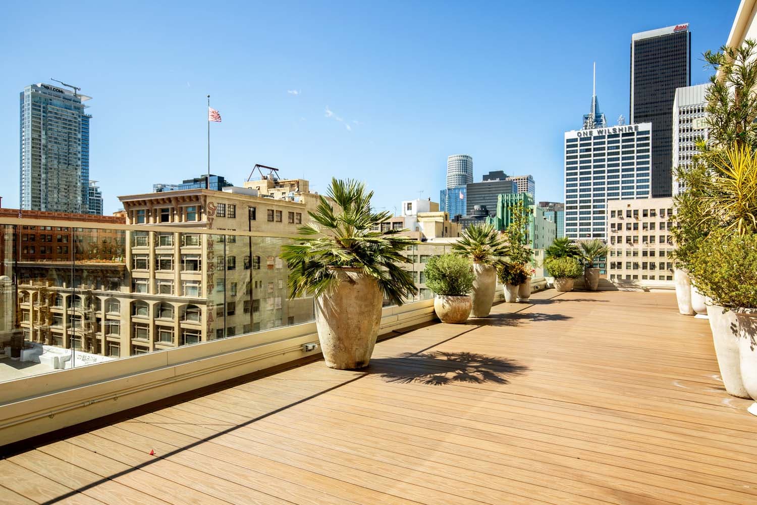 Savanna Rooftop photo